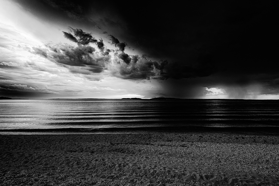 Pulse of a Storm