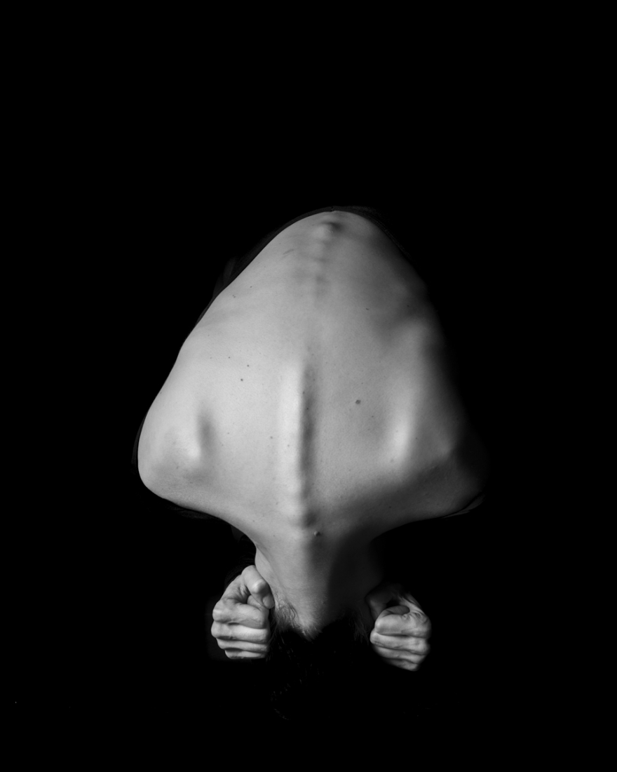 Architecture of the Organism