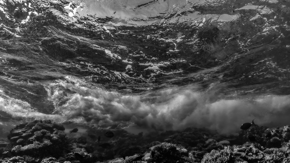 Mood changes of the sea
