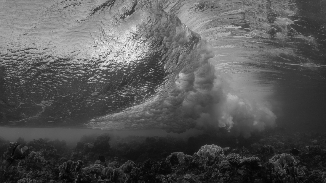 Mood changes of the sea