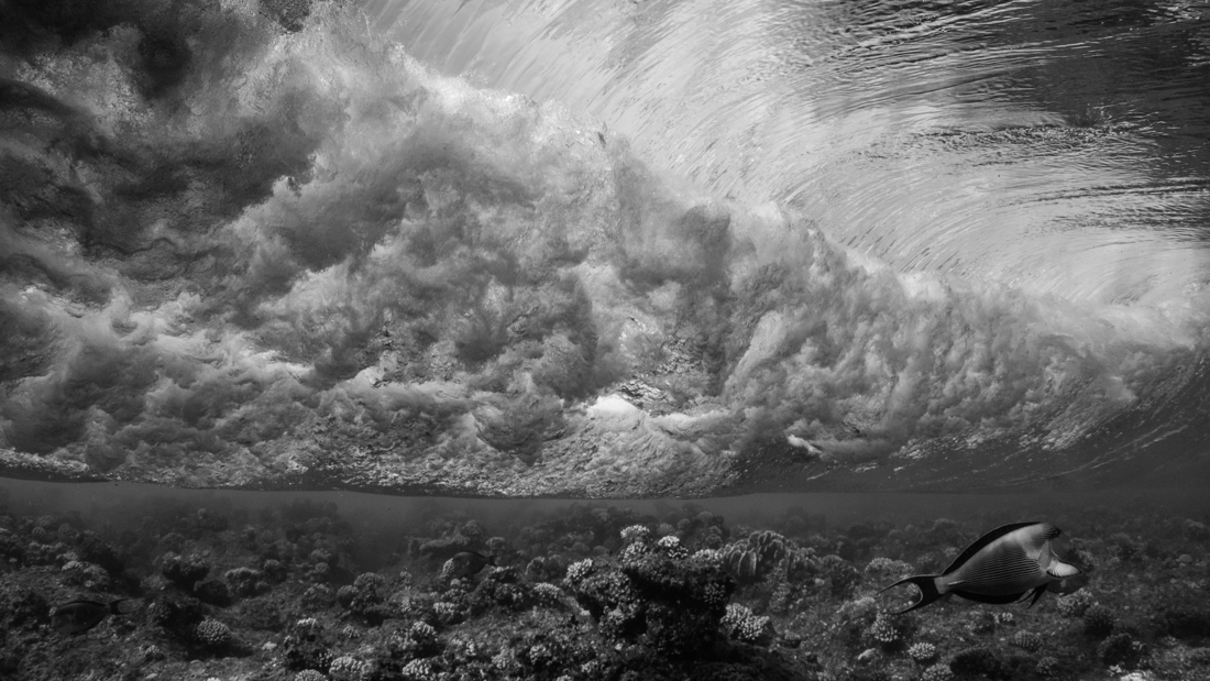 Mood changes of the sea