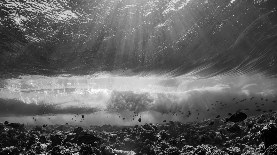 Mood changes of the sea