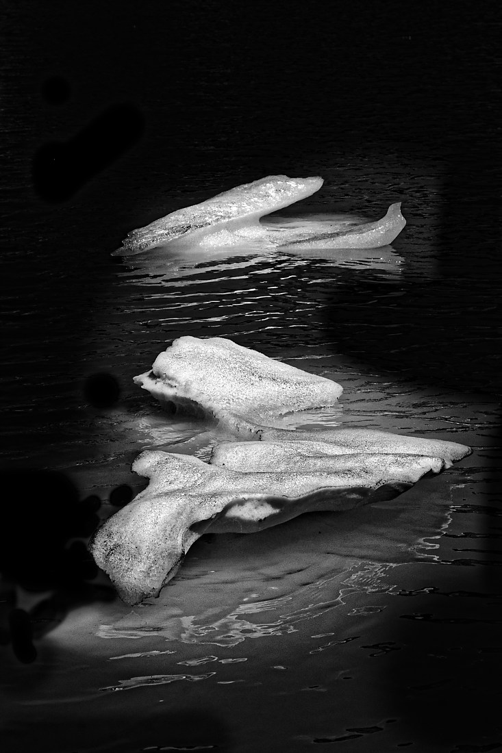 frozen composition