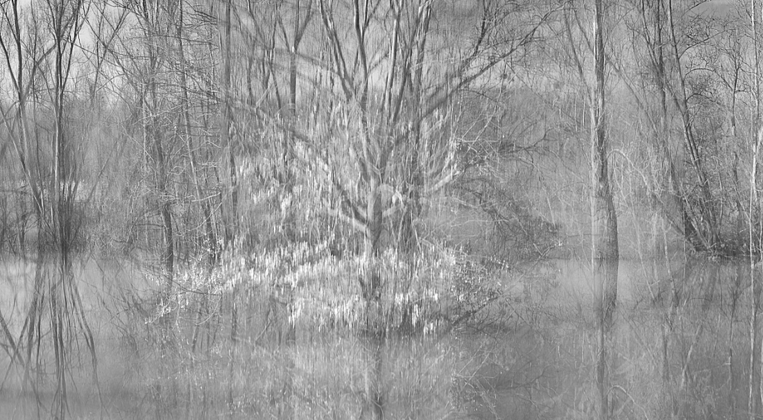 In the Floodplains