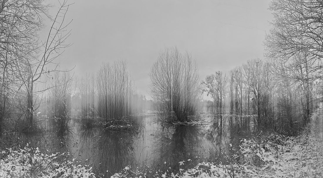 In the Floodplains
