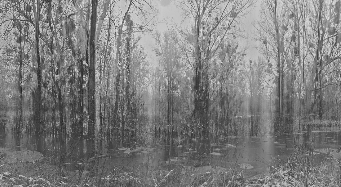 In the Floodplains
