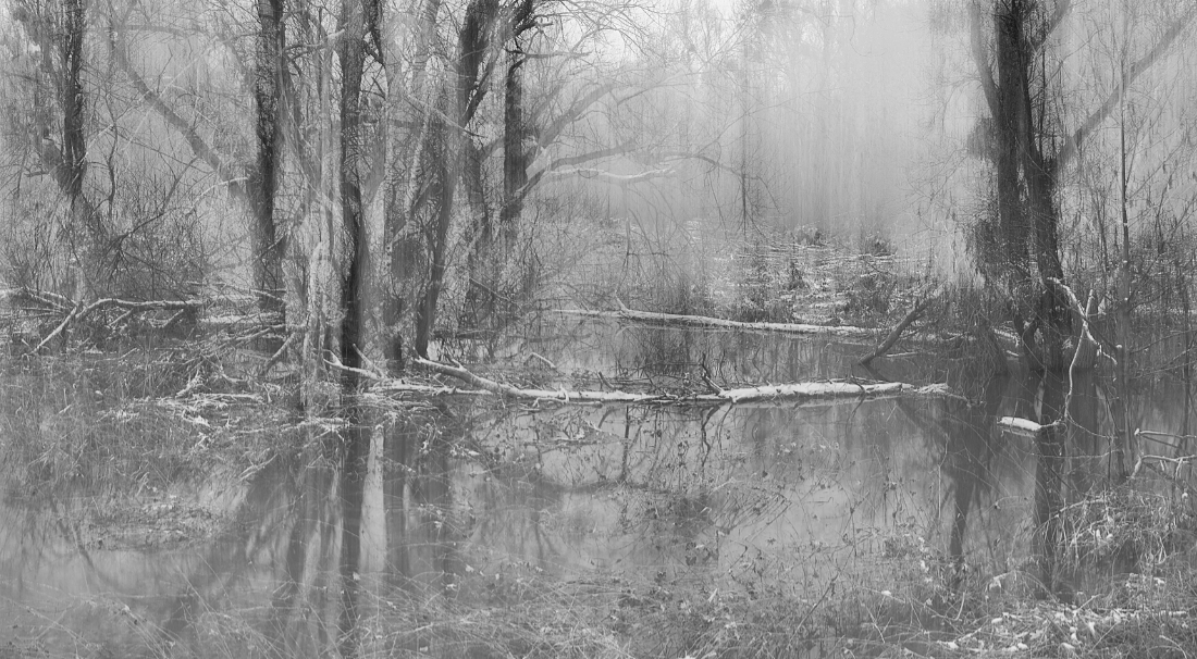 In the Floodplains