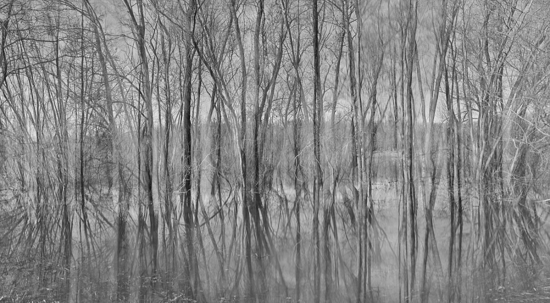 In the Floodplains