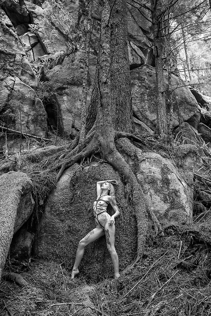 Three Graces