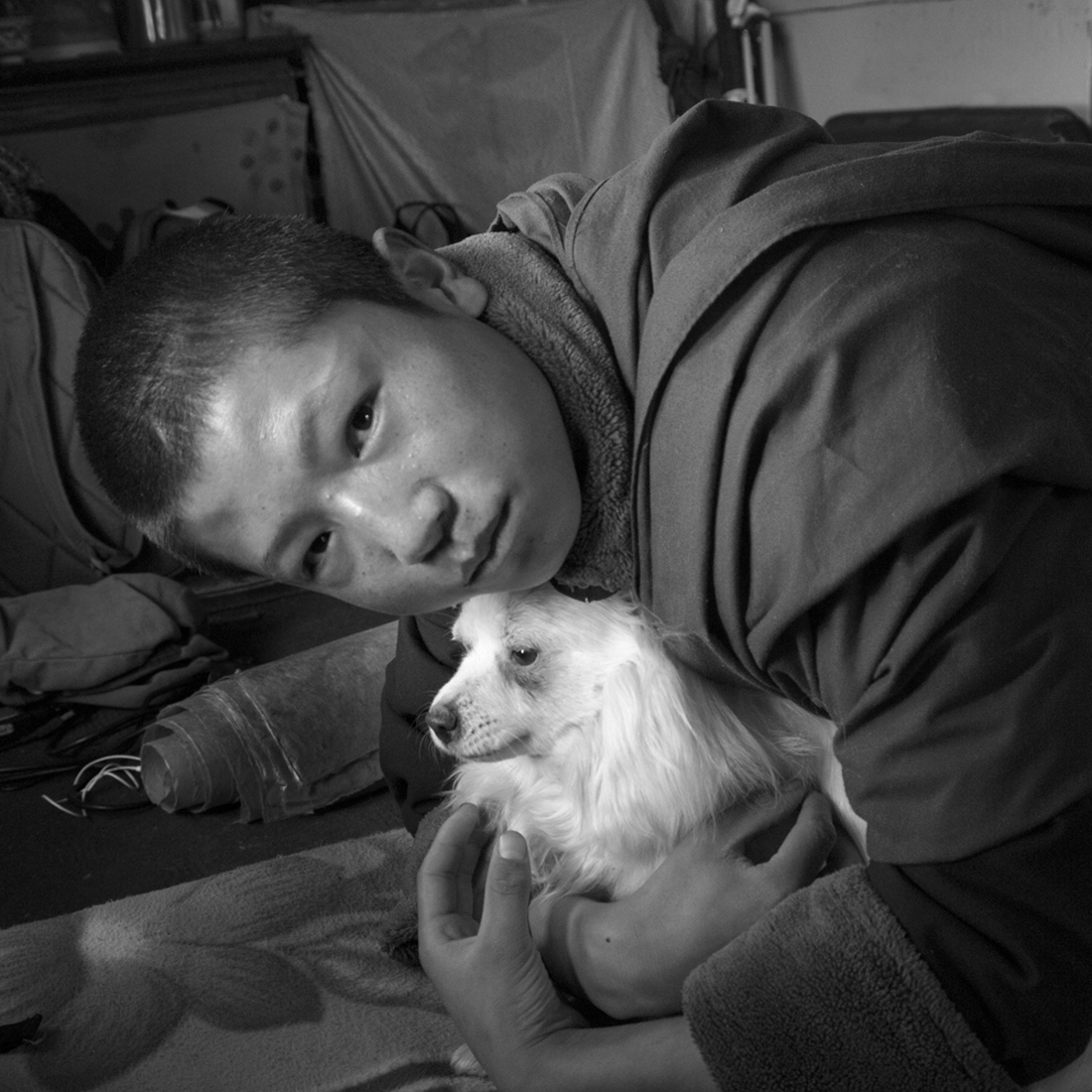 Compassion