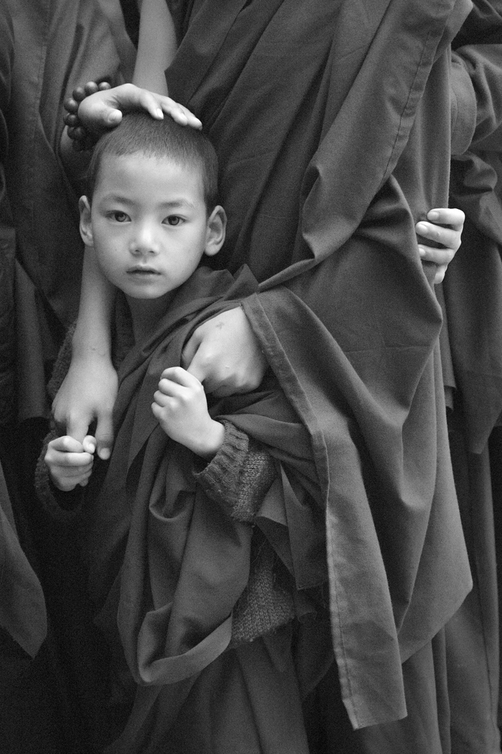 Compassion