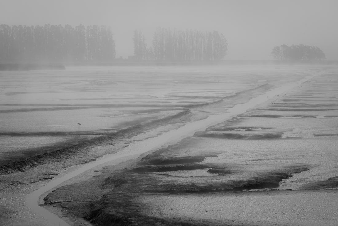 Extraordinary Wetlands