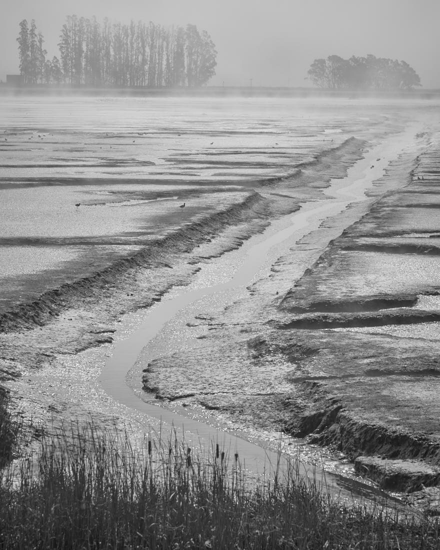 Extraordinary Wetlands