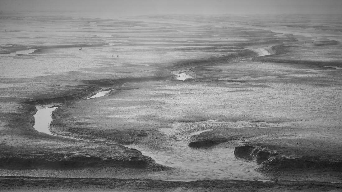 Extraordinary Wetlands