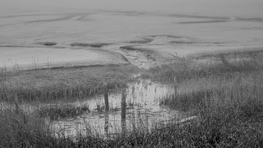 Extraordinary Wetlands