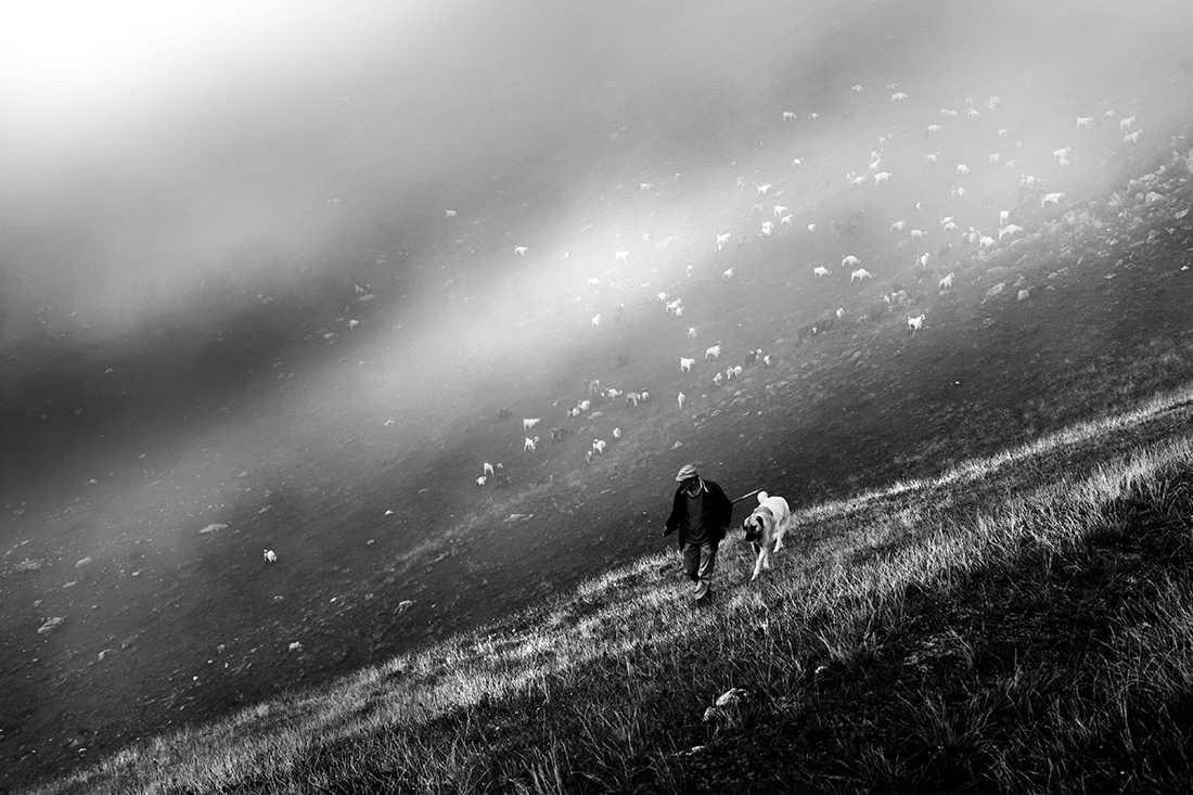 The Shepherd of the Mountains, 
