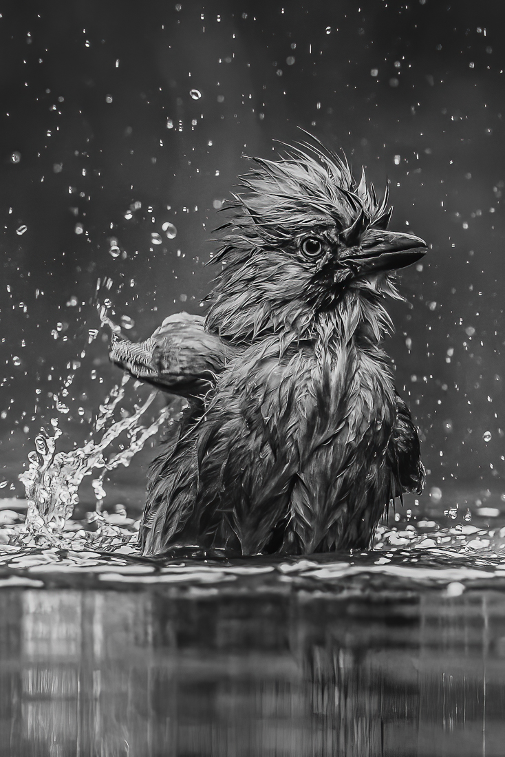 Bad hair day
