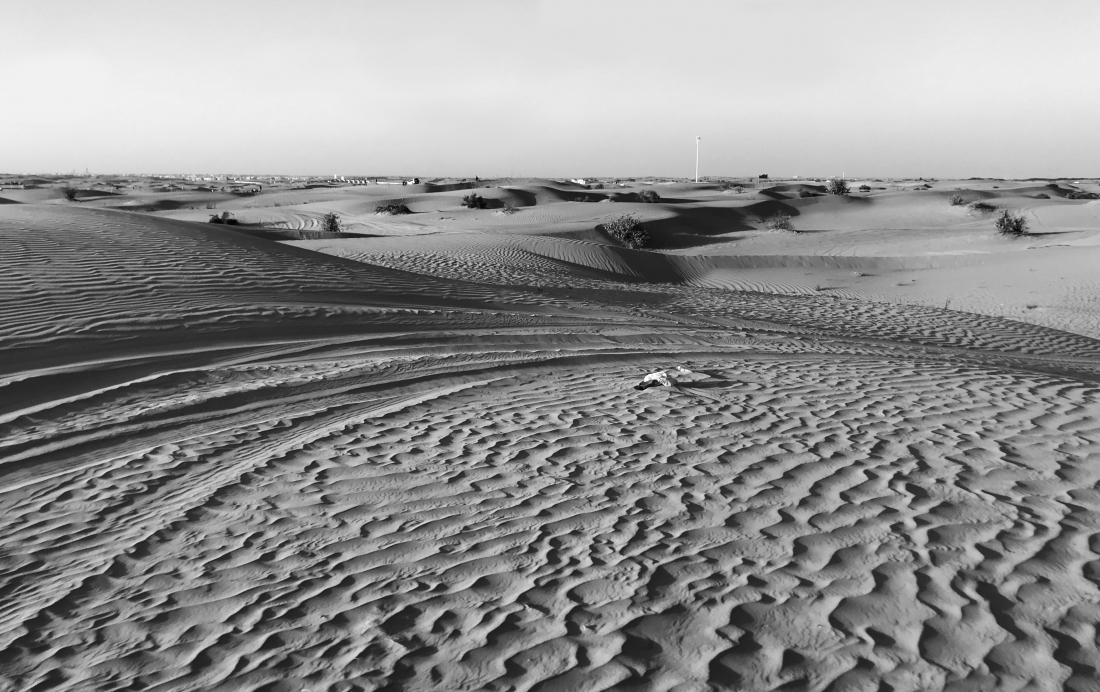 The Dunes