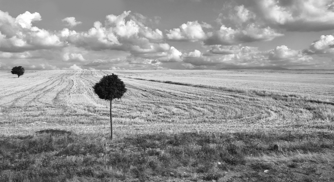Isolated Duo