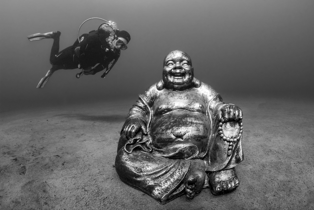 Buddha's buddy