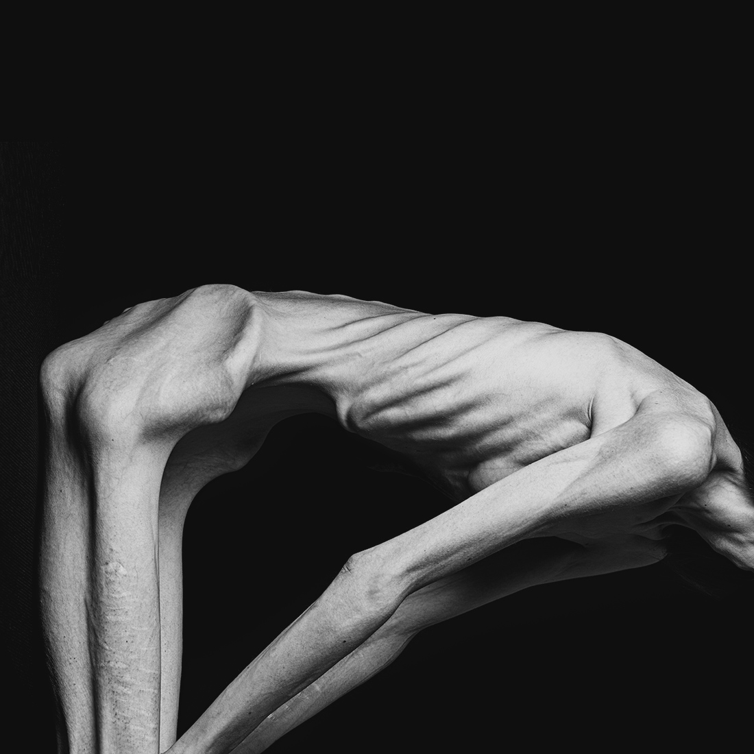 Living sculpture
