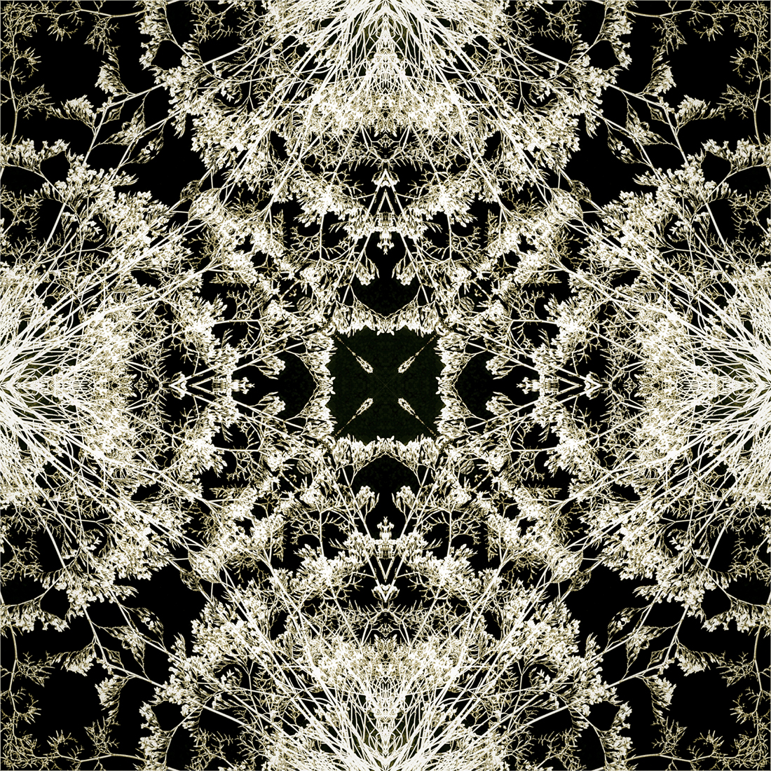 Desert Garden