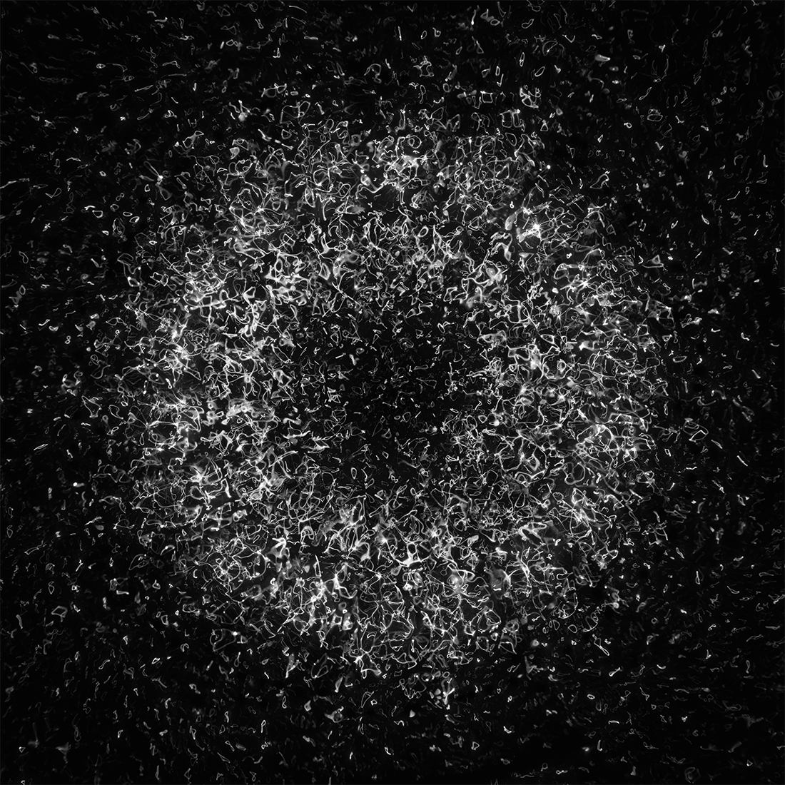 petrichor 6