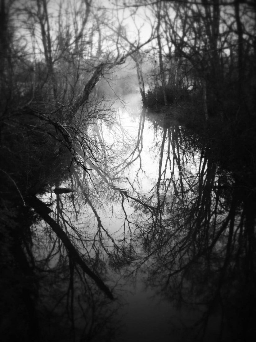 Winter Water