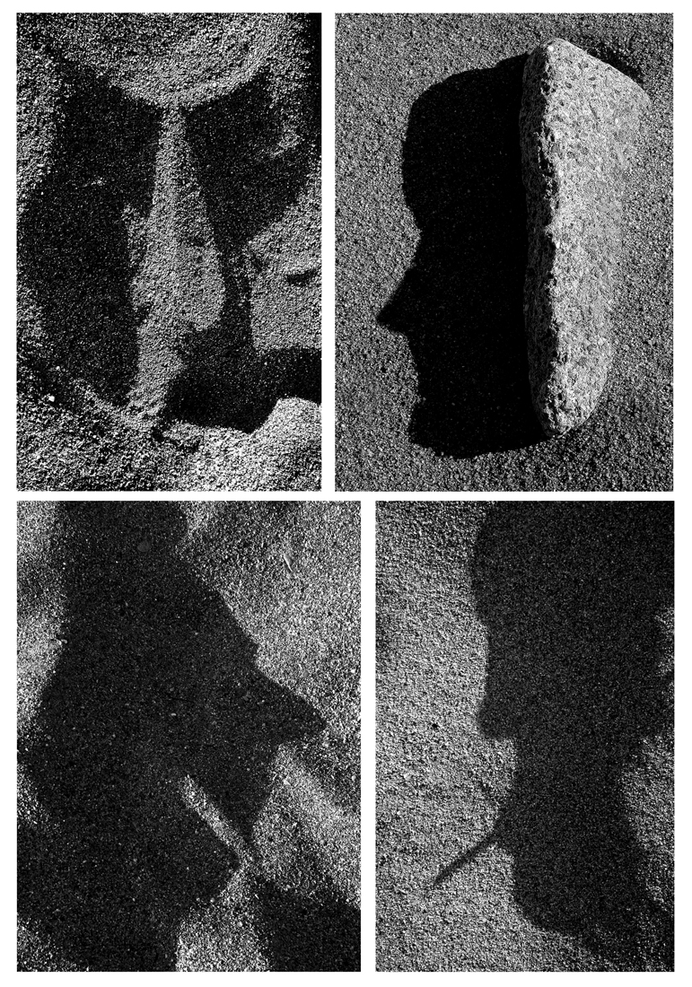 DANCING SHADOWS ON THE SAND