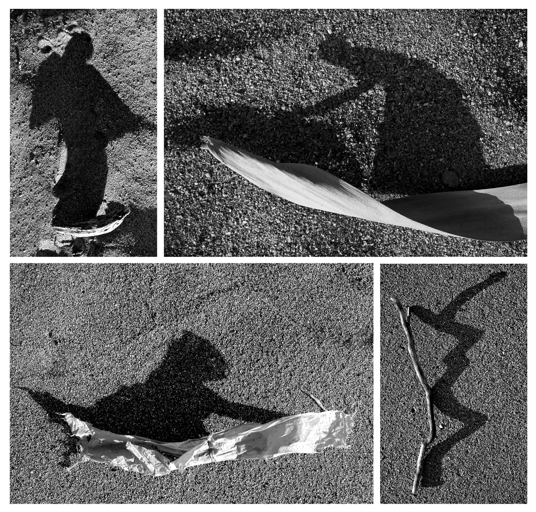 DANCING SHADOWS ON THE SAND