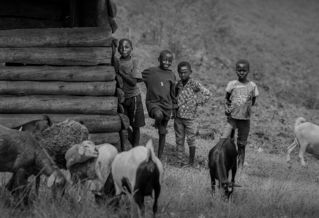 The Goats Band