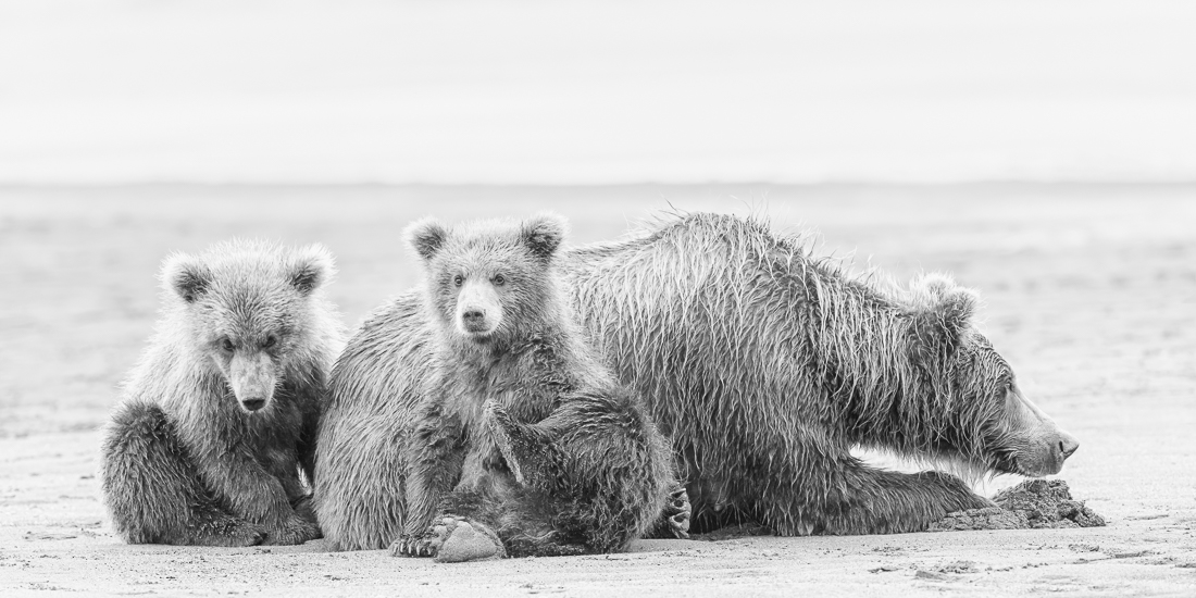 Waiting for Dinner