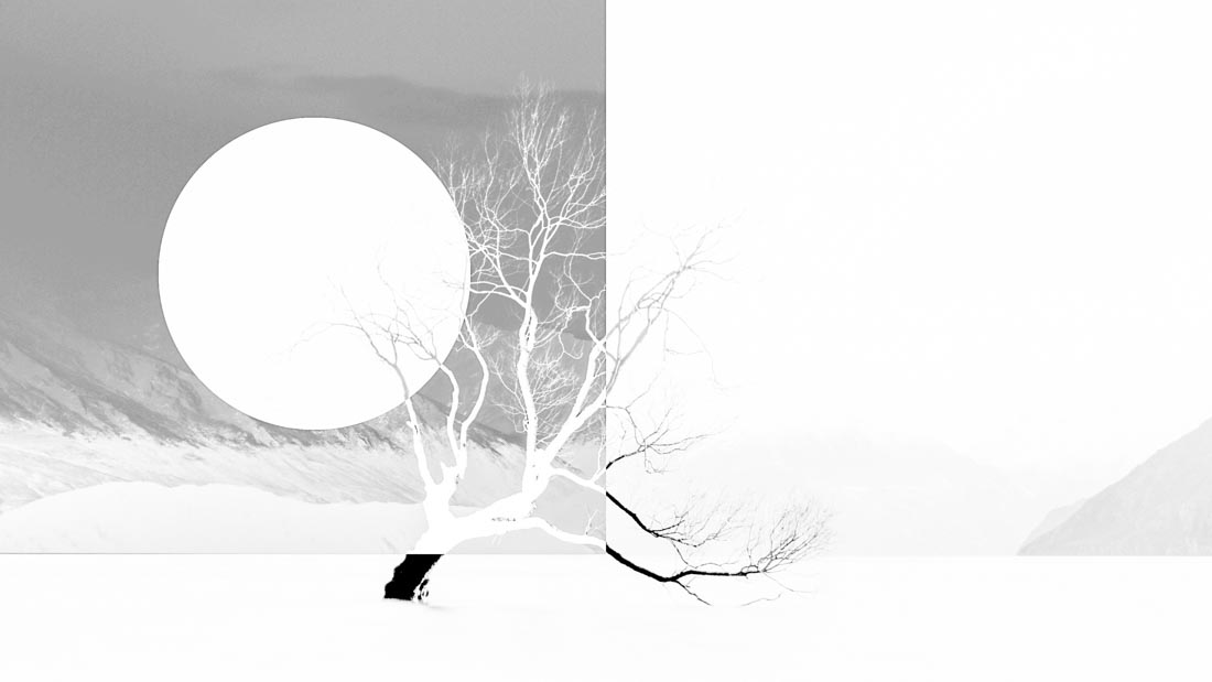 Landscape Discovery