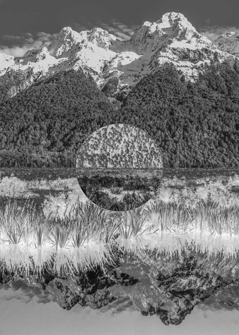 Landscape Discovery