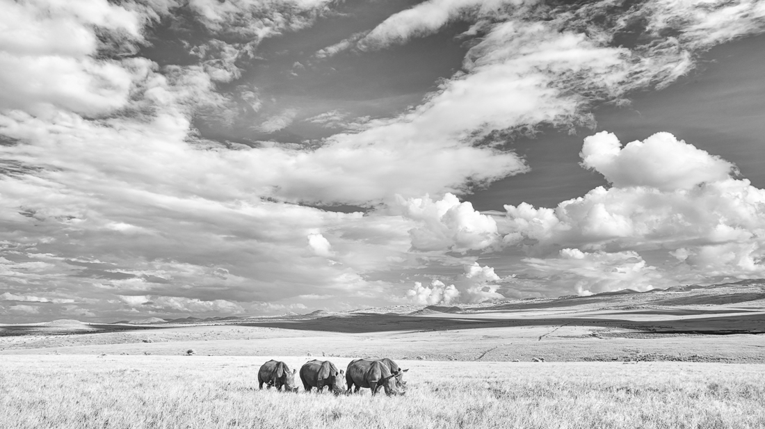 White Rhino Family Dinner