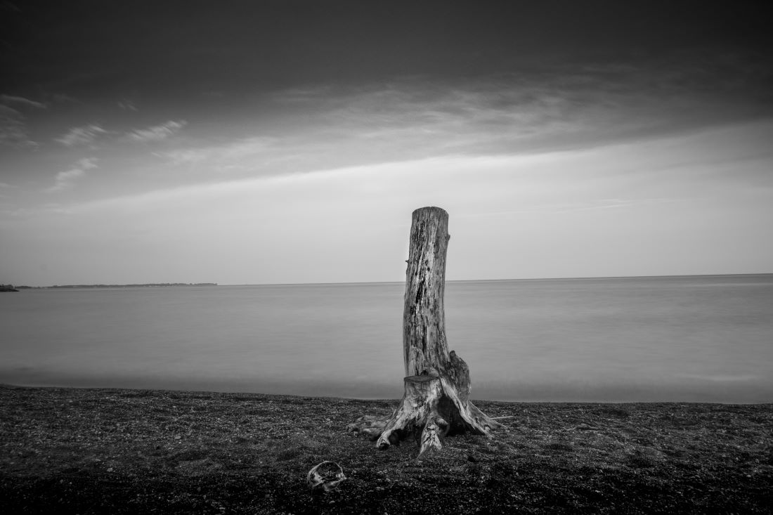 Shorelines