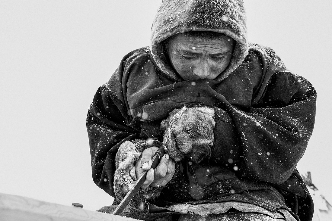 Nenets, The Reindeer Herders. The last nomads of the Arctic