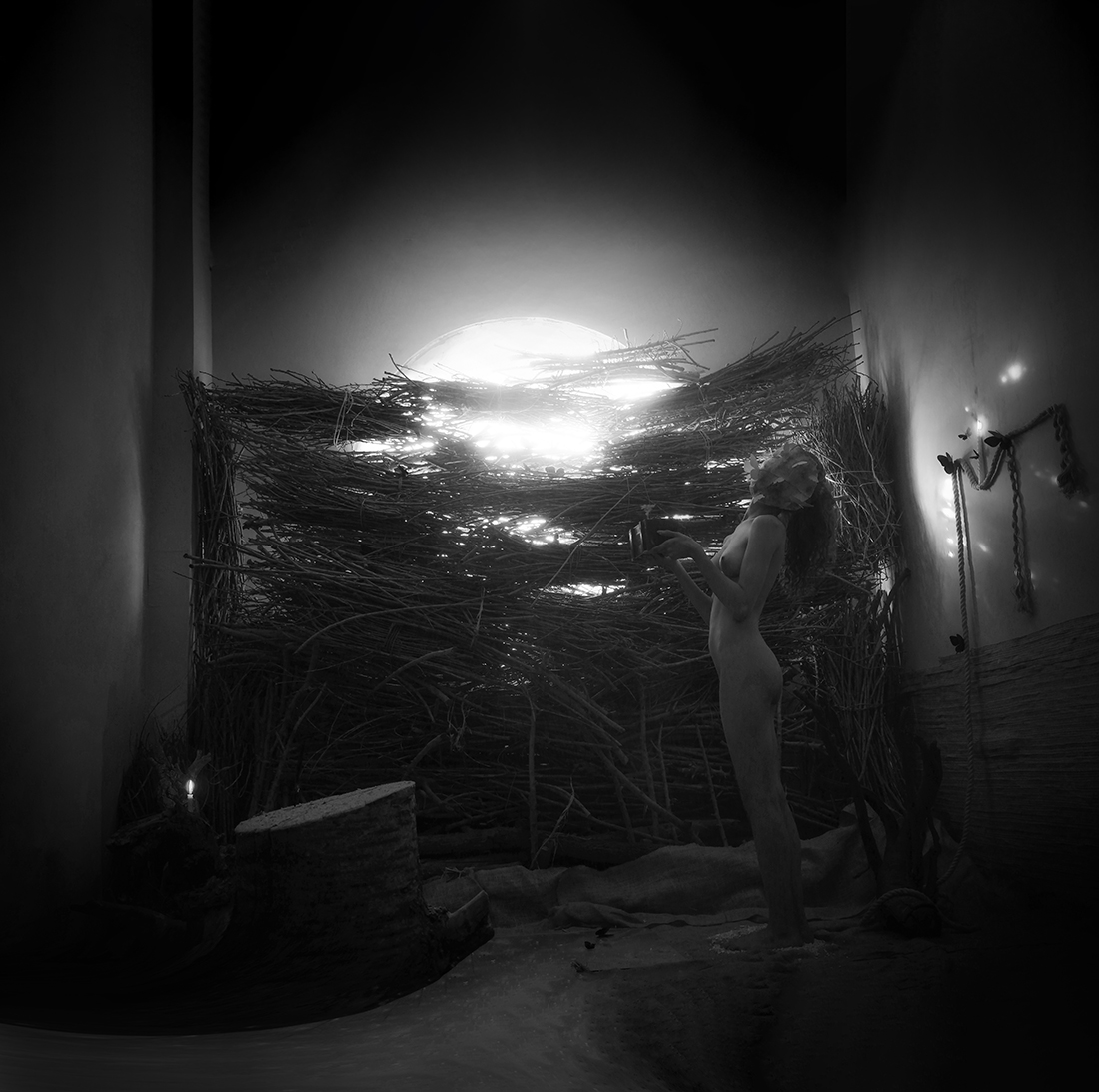 cellar butterflies ( B&W cube theme )