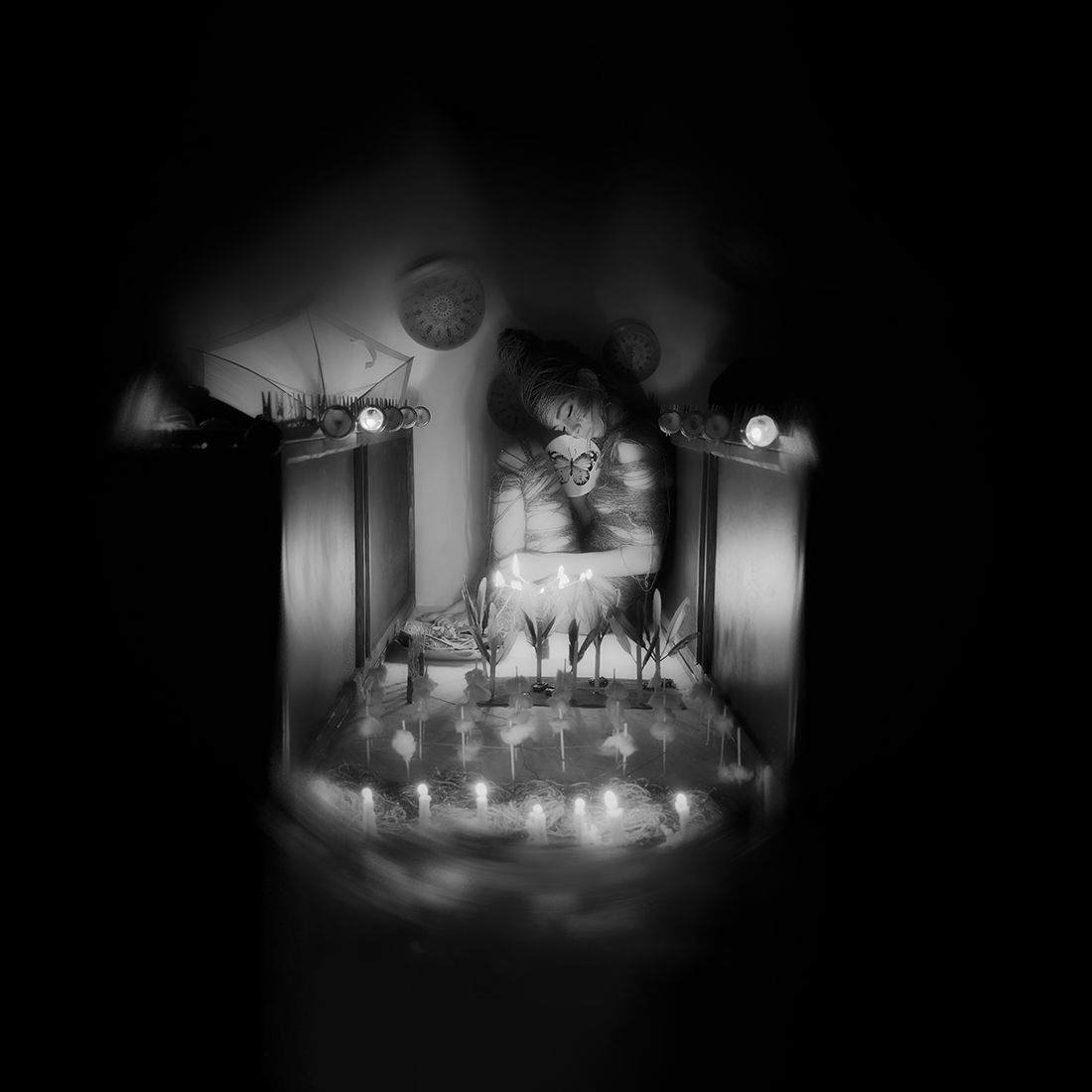 cellar butterflies ( B&W cube theme )