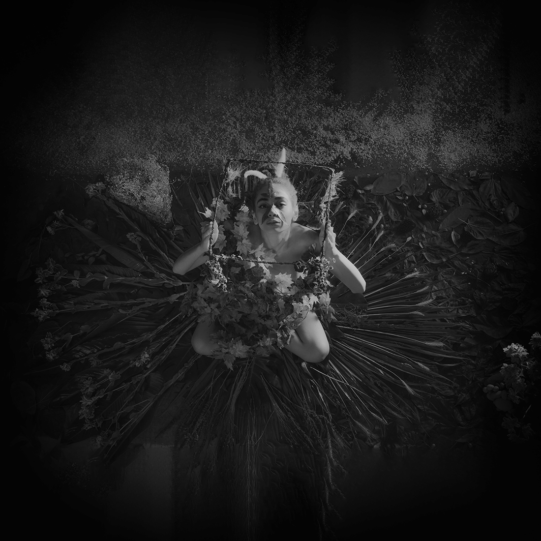 cellar butterflies ( B&W cube theme )