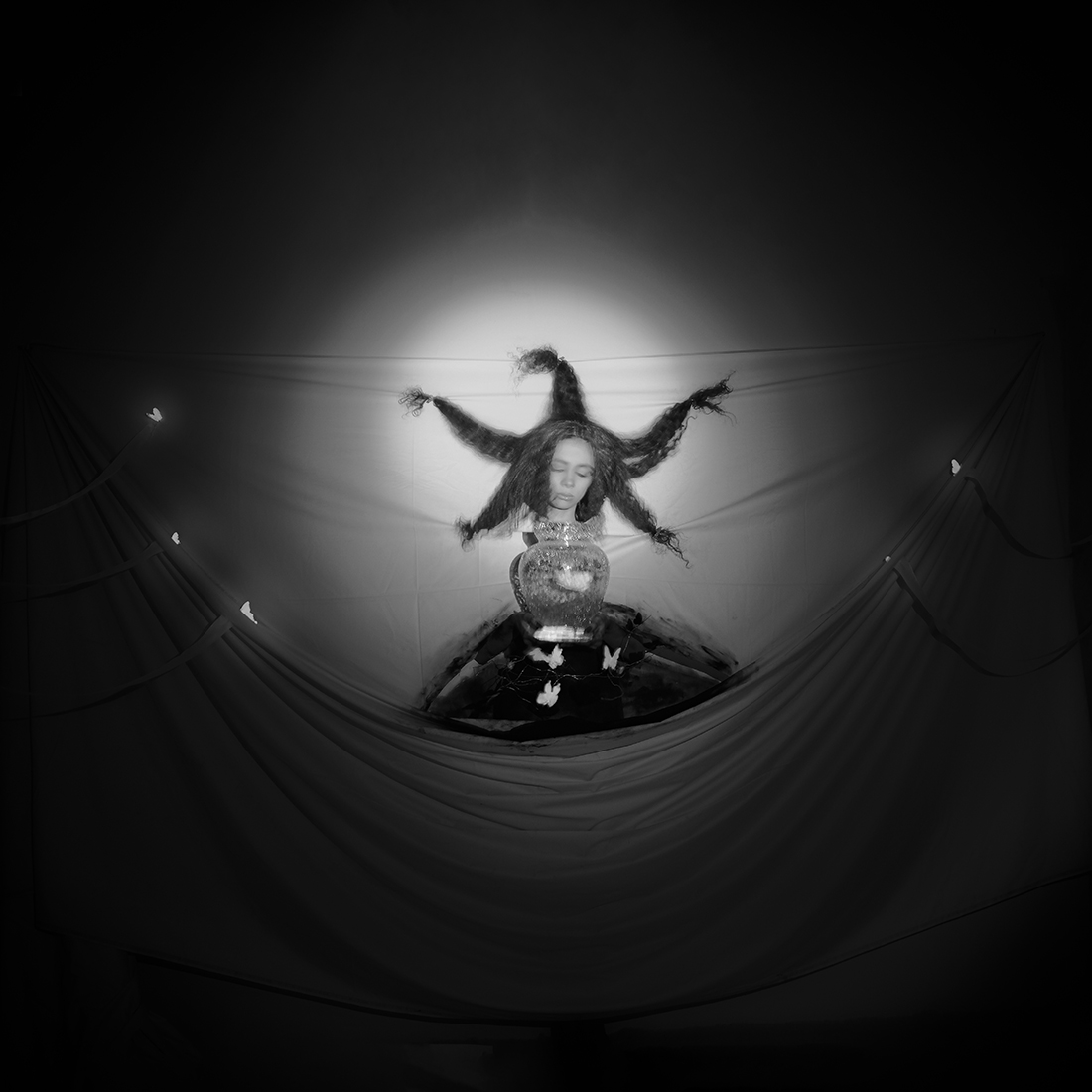 cellar butterflies ( B&W cube theme )
