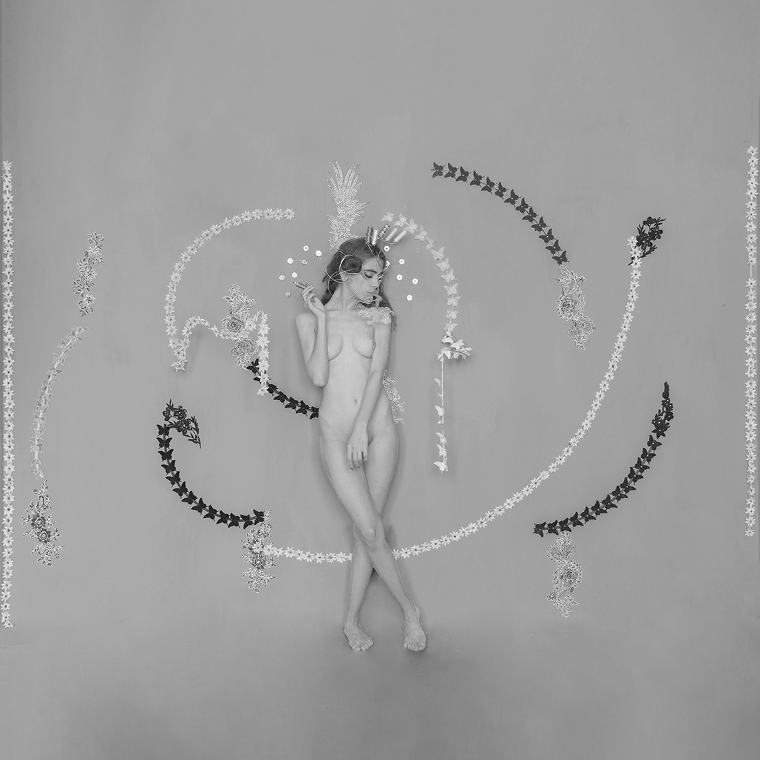 cellar butterflies ( B&W cube theme )
