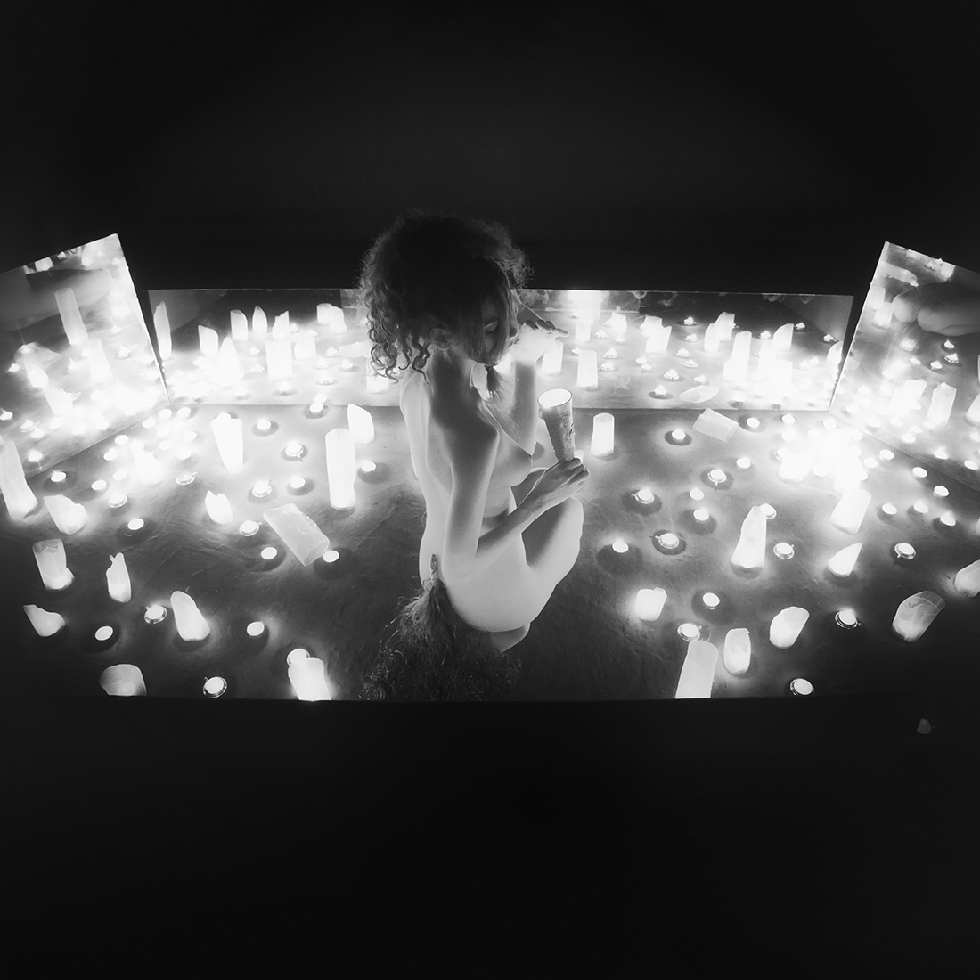 cellar butterflies ( B&W cube theme )