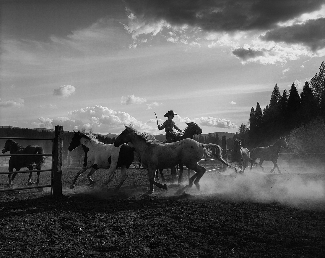 Into The West