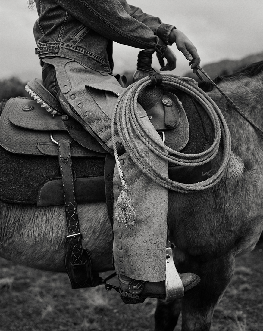 Into The West