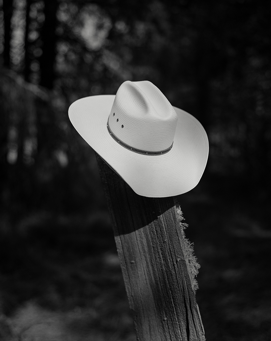 Into The West
