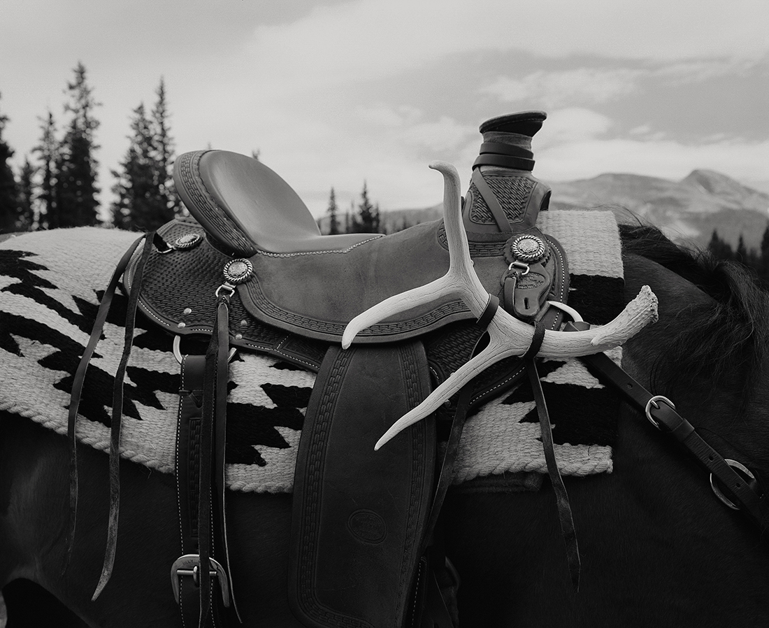 Into The West