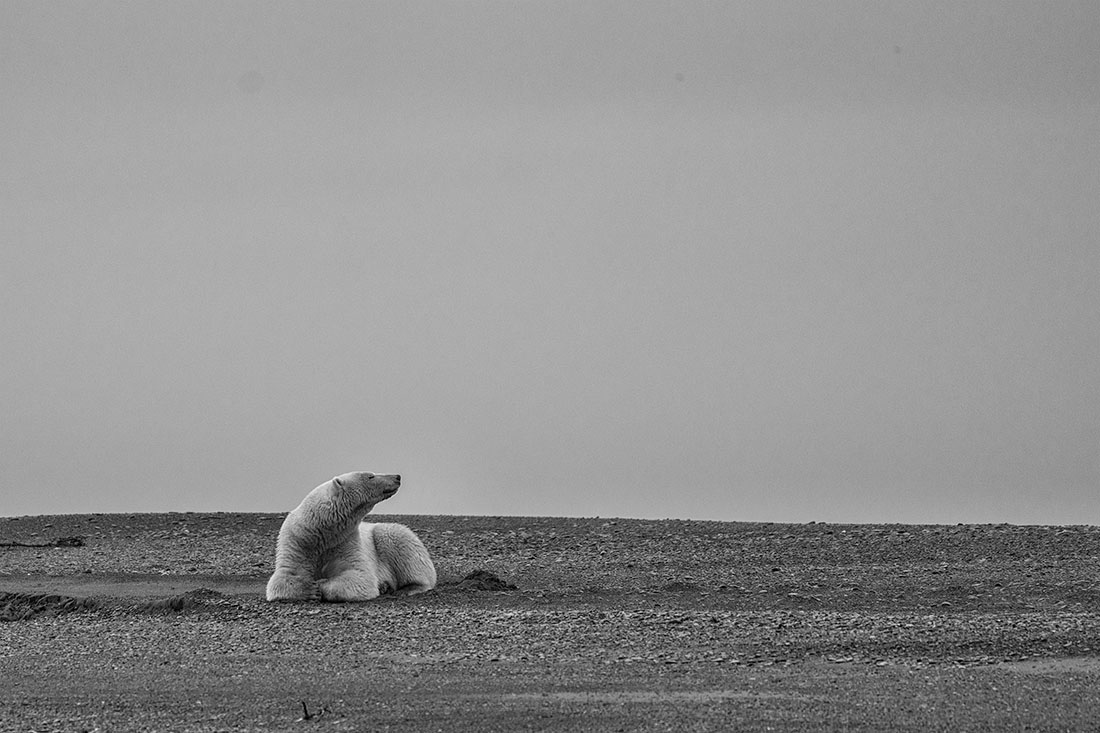 Arctic National Wildlife Refuge