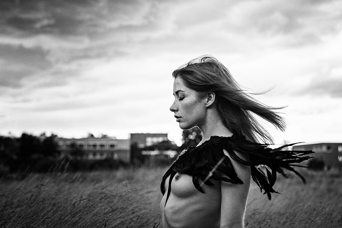 raven feathers