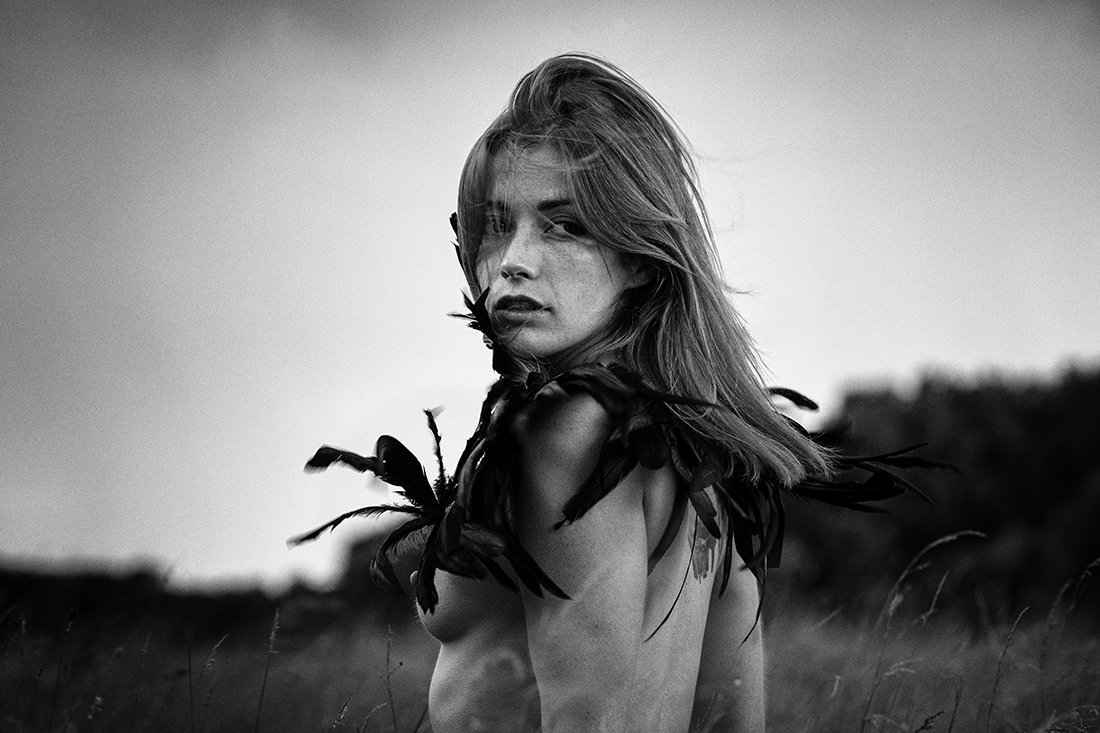 raven feathers